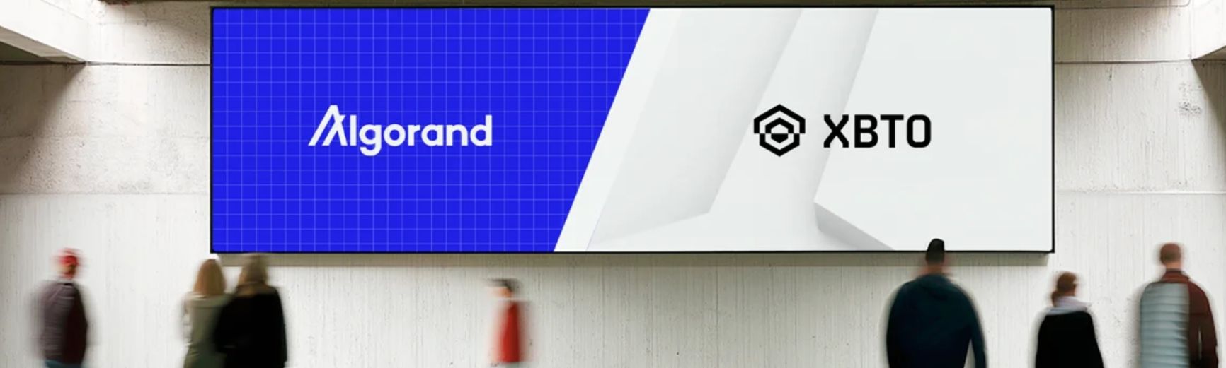 Algorand Joins Forces with XBTO to Boost Liquidity and Trading Efficiency image 0