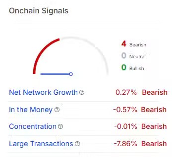 Apakah Pembakaran SHIB Dapat Memicu Kenaikan Harga? Simak Analisnya!