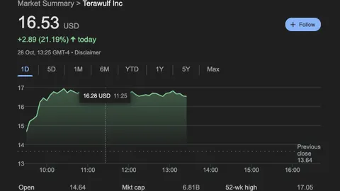 Tumaas ng 21% ang stock ng Bitcoin miner na TeraWulf (WULF) kasunod ng $9.5B AI infrastructure lease