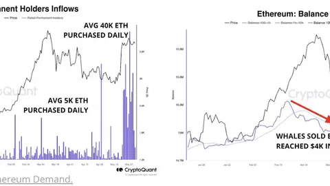 Crypto Whales Are Buying Up Bitcoin Like It’s 2020 Again