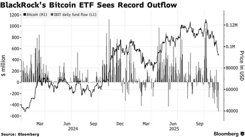 Інвестиційна рада Абу-Дабі потроїла свою частку в Bitcoin ETF до $518 мільйонів перед обвалом ринку
