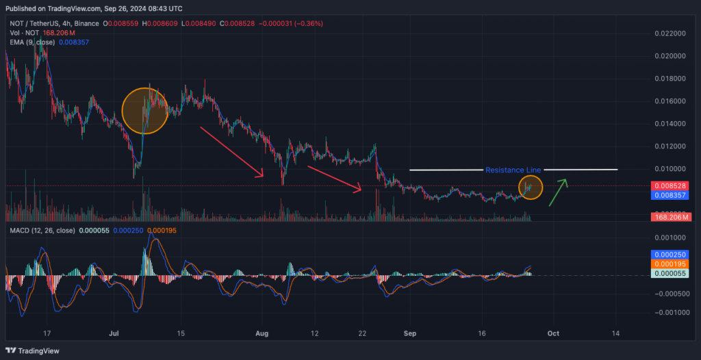 Notcoin Jumps 25% This Week — Trend Analysis of Price Moves Inside! image 1