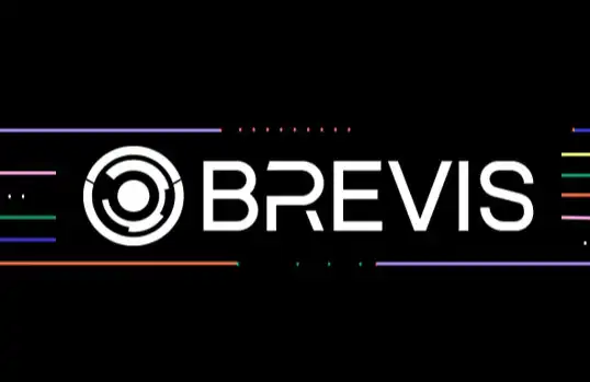 Brevis Research Paper: ZKVM and Data Co-Processor - The Infinite Trustworthy Computing Layer