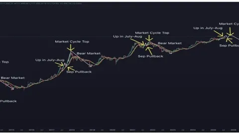 Bitcoin And Crypto Market To Crash? Analyst’s August-September Prediction