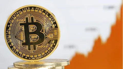 Bitcoin Forecast: Optimistic Outlook for Second Half of 2024