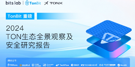 TonBit 报告:2024 TON 生态全景观察及安全研究报告
