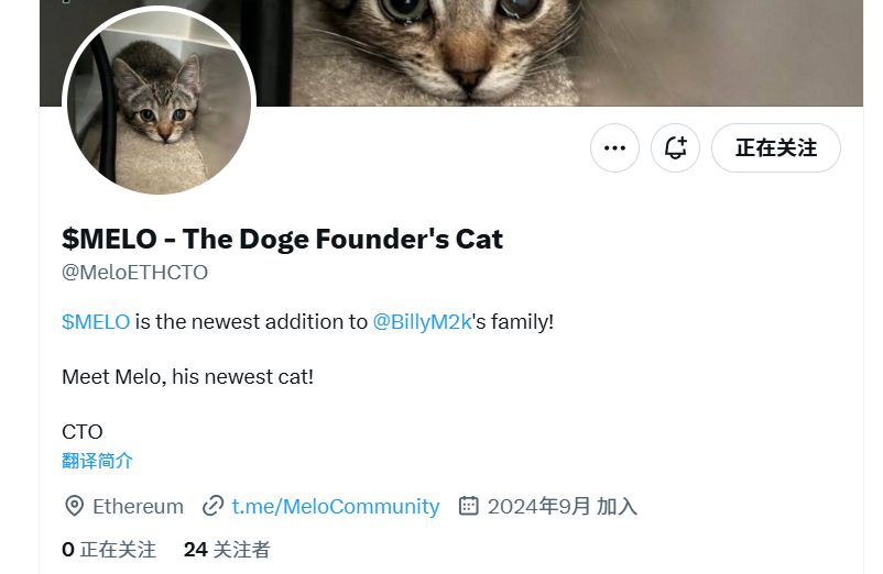 Meme热潮持续：魔性狗子 + 可爱小猫，半天之内再现千倍涨幅？ image 5