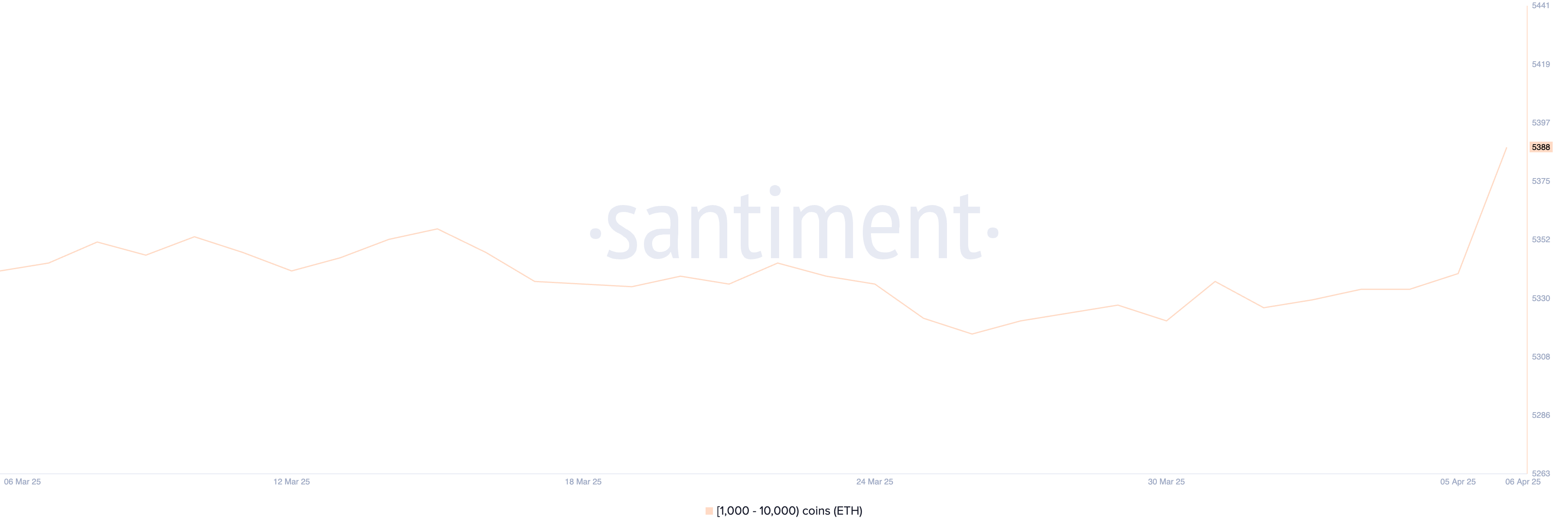 What Crypto Whales Are Buying After the Black Monday Crash image 0