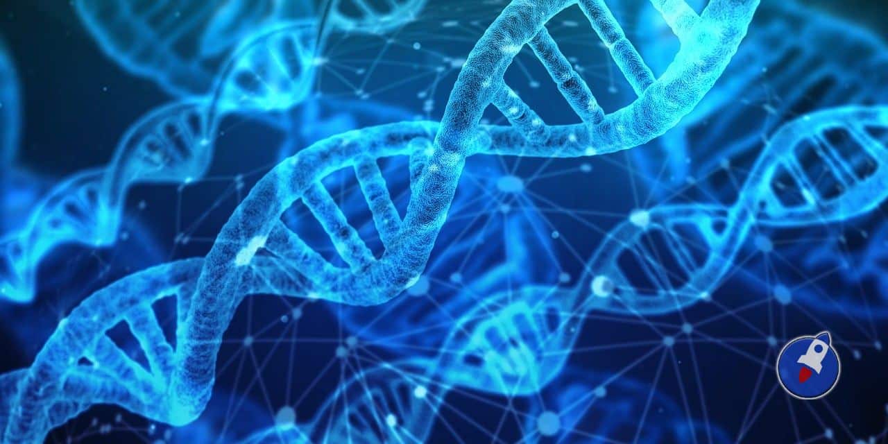 Les détenteurs de cryptos seraient des psychopathes selon cette étude scientifique image 1