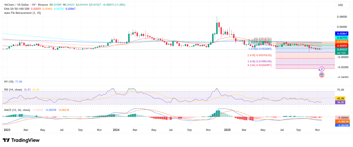 Hohes Interesse an VeChain-UFC-Kooperation – Zahl der Google-Suchen steigt sprunghaft