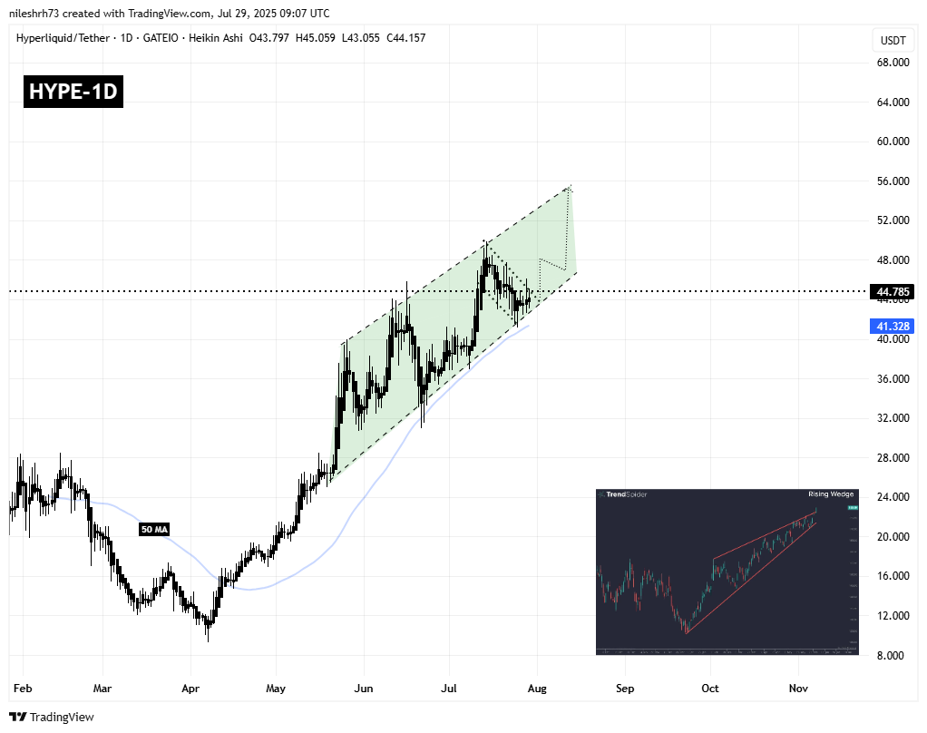 Hyperliquid (HYPE) To Rise Higher? This Key Pattern Points to a New All-Time High image 1