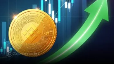 BNB Chain uruchamia airdrop o wartości 45 milionów dolarów dla traderów memecoinów