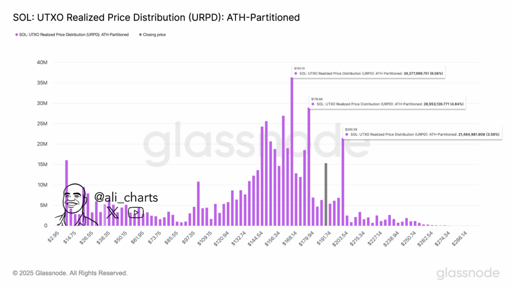 El precio de la Solana y el XRP subirá por la enorme demanda institucional: Informe image 1