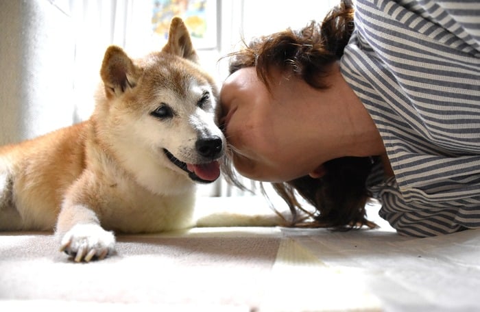 New Post on Kabuso Blog: The Dog Behind Neiro Crypto image 2