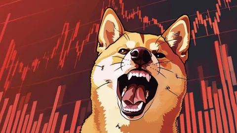 Bonk Holders Ditch BONK in Favor of This Emerging Meme Coin