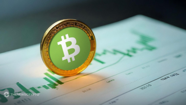 Bitcoin Cash Leads Gains as Crypto Investors Eye Market Rebound