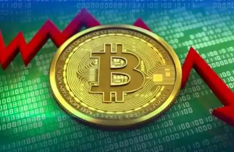 Has the "Whale" Accelerated Bitcoin Sell-Off, But Still Not Considered a Panic Signal?