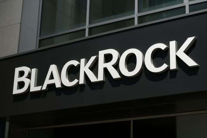 Neuer BlackRock-Fonds soll Marktstandards setzen image 0