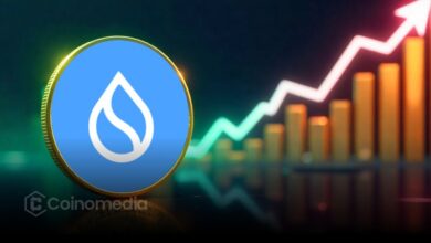 SUI DEX Volume Hits All-Time High in October