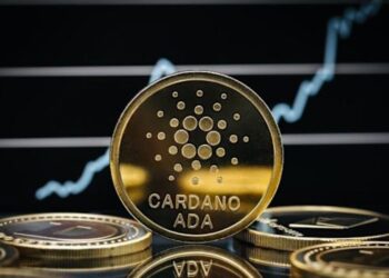 USD 500 millones en cardano salieron de exchanges en 3 meses