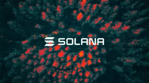Solana mencatat jumlah alamat aktif bulanan tertinggi, melampaui 120 juta pada bulan Oktober