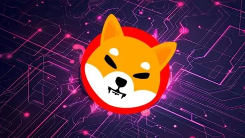 Shiba Inu (SHIB) Loses Crucial Level