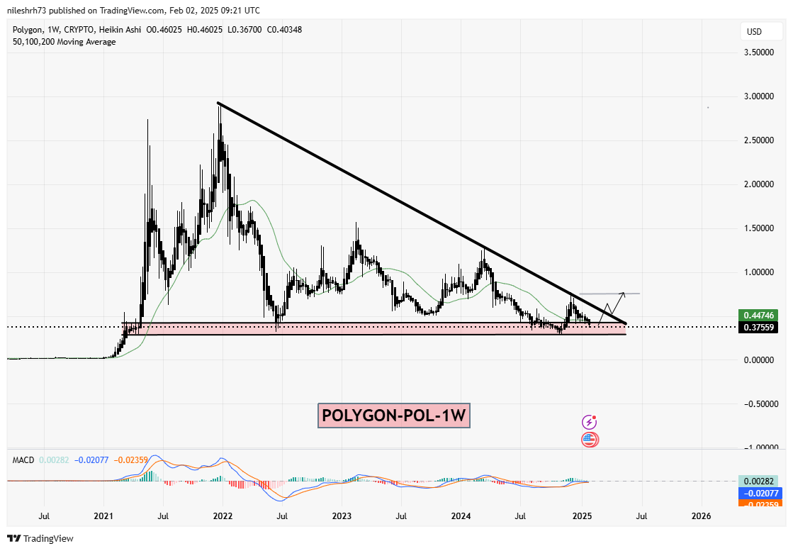 POL and NEAR Hit Major Support Levels Amid Significant Corrections: Is a Bounceback Ahead? image 1