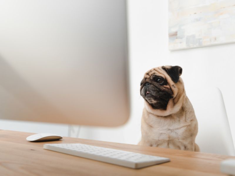 爱奇艺(IQ.US)Q3财报凸显战略韧性,AI与海外业务双轮驱动价值重估