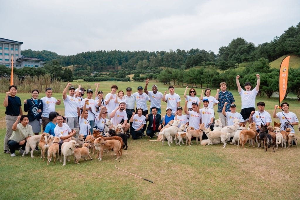 BONK and Korean K9 Rescue Break Guinness World Record, BONK Dogs Ready for Adoption image 1