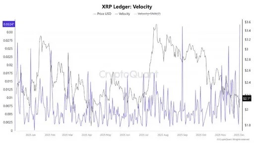 Peluang Emas Investasi XRP, Mirip NVIDIA di Tahun 2000! image 0