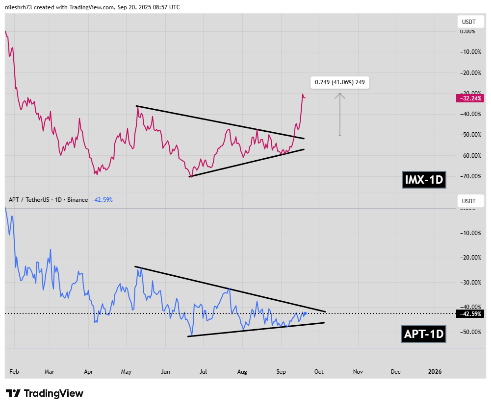 Is Aptos (APT) Poised for a Bullish Breakout? This Emerging Fractal Saying Yes! image 1