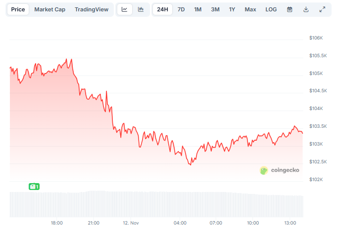 Bitcoin Merosot ke US$103.000, Dipicu Dua Faktor Ini image 0