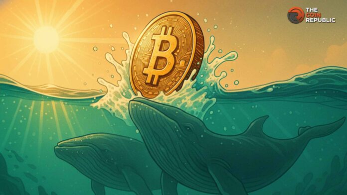 سعر البيتكوين يستعيد 106 آلاف دولار على الرغم من ضغوط البيع من قبل الحيتان، ما التالي؟