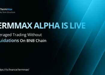 TermMax Alpha Launches on BNB Chain, Offering Zero-Liquidation Leveraged Trading