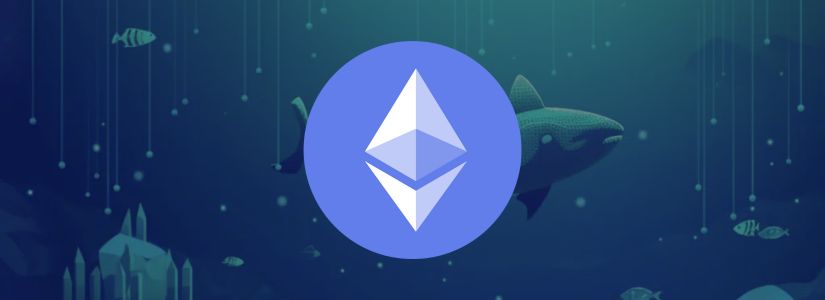 Las Ballenas de Ethereum Acumulan $1.19 mil Millones en ETH en Medio de la Volatilidad del Mercado
