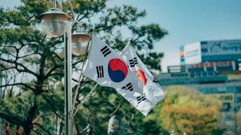 Korea Selatan Gandeng Avalanche Buat Sistem Refund Turis yang Makin Canggih