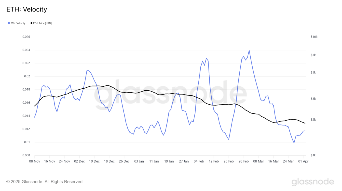 Holder Bitcoin vẫn chưa đầu hàng bất chấp đà suy yếu của giá image 0