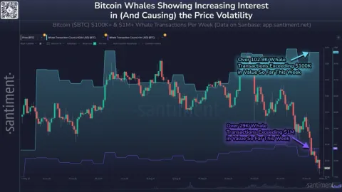 Lo que sucedió hoy en el mercado cripto: precio de XRP hoy, precio de Bitcoin reacciona al informe de empleo de EE. UU. y las últimas noticias cripto