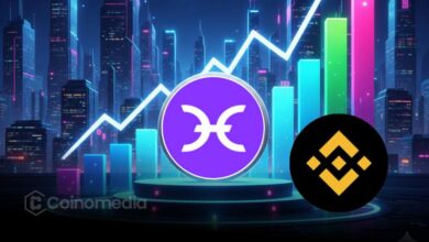 Market Maker Executes $915K HOLO Swap on BNB