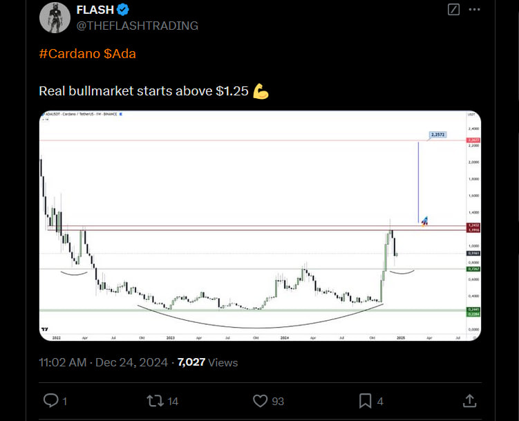 Cardano показывает устойчивость на падении. Что дальше? image 1