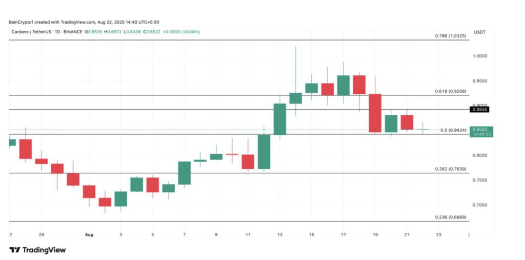 3 Kripto Pilihan Para Whale di Akhir Agustus 2025 image 5