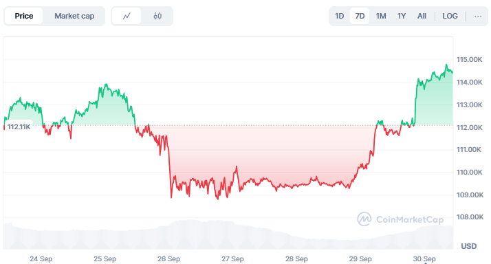 Bitcoin Rebound ke US$114.000, Trader Menanti Momentum Uptober image 0