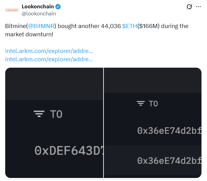 أسهم العملات الرقمية التي يجب مراقبتها في شهر نوفمبر: CRCL، وBMNR، وHOD image 1
