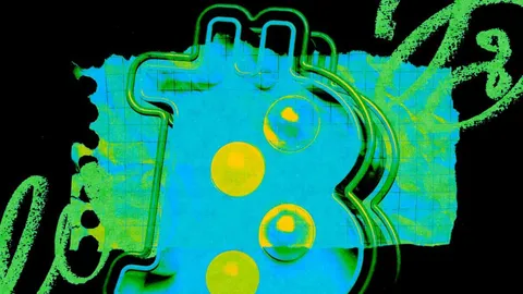 Развлекательная компания приобретает эксклюзивные права на историю о потерянном британцем состоянии в биткойнах на сумму 800 миллионов долларов