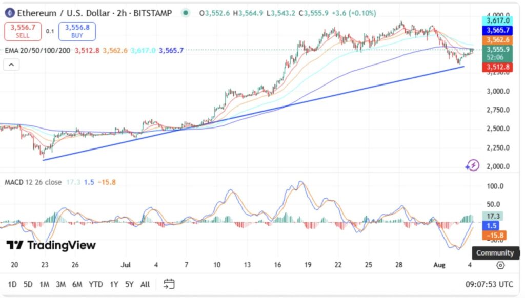 10 Crypto yang Berpeluang Naik 2026: Proyeksi di Dunia Investasi Digital image 1