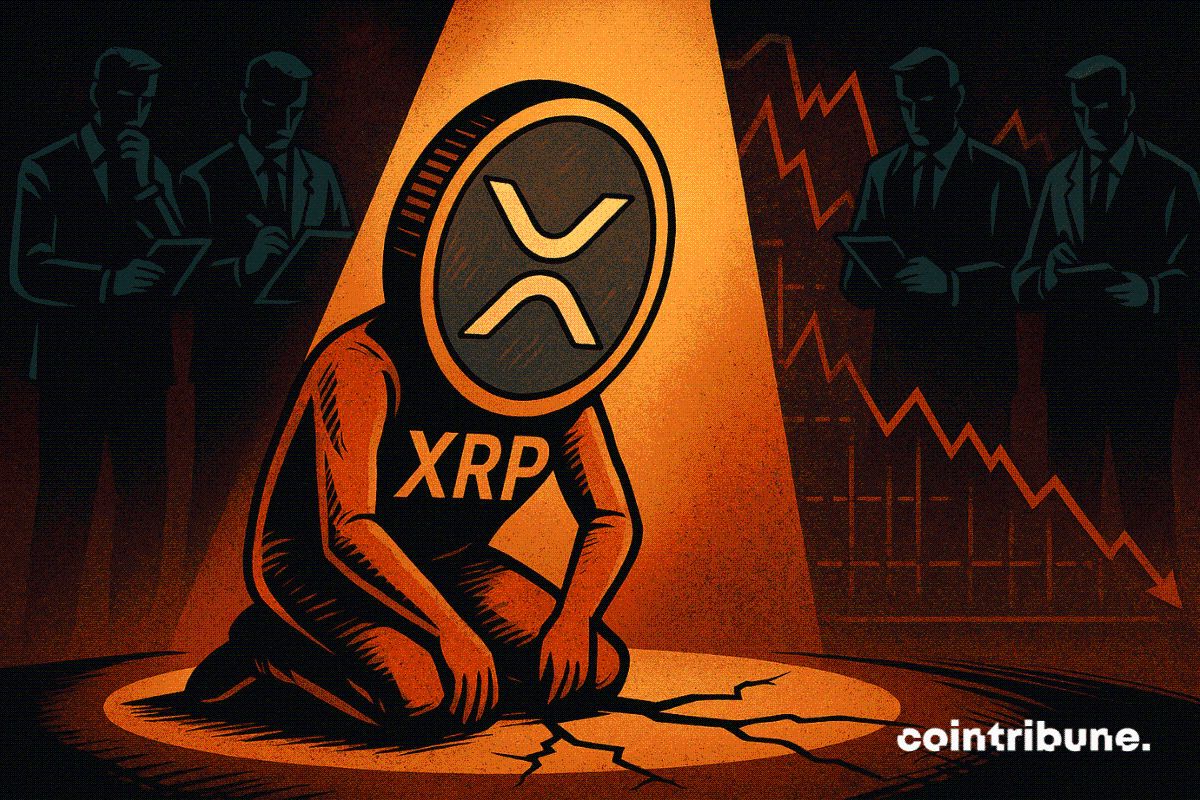 41% ng mga may hawak ng XRP ay nalulugi pa rin sa kabila ng mataas na presyo