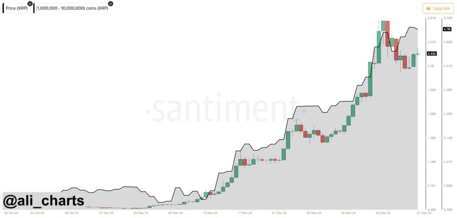 XRP Surges 30% Weekly Amid Massive Whale Activity image 0