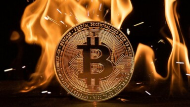 Quantencomputer bedrohen Bitcoin? Darum warnt Solana-Gründer