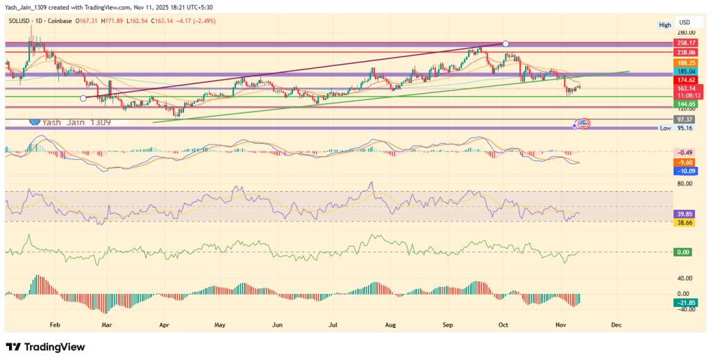 SOL價格預測2025：Solana在2025年前是否將迎來更深度的修正？ image 5