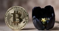 Michael Burry, de 'Big Short', afirma que Bitcoin es peor que la burbuja de los tulipanes